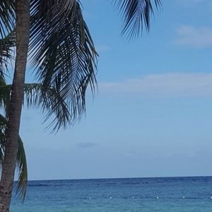 Meet your Posher, Olisa